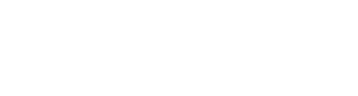 SBN-White-Logo SBN-White-Logo