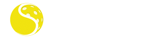 Swing Vision